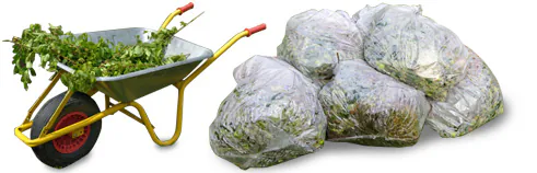 yard waste disposal - we do all the work